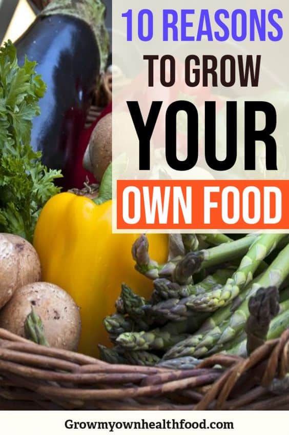 10 Reasons to Grow Your Own Food - Grow My Own Health Food