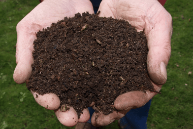 Organic Gardening Soil