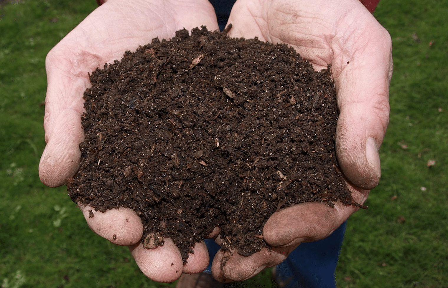 What Is A Good Organic Matter In Soil