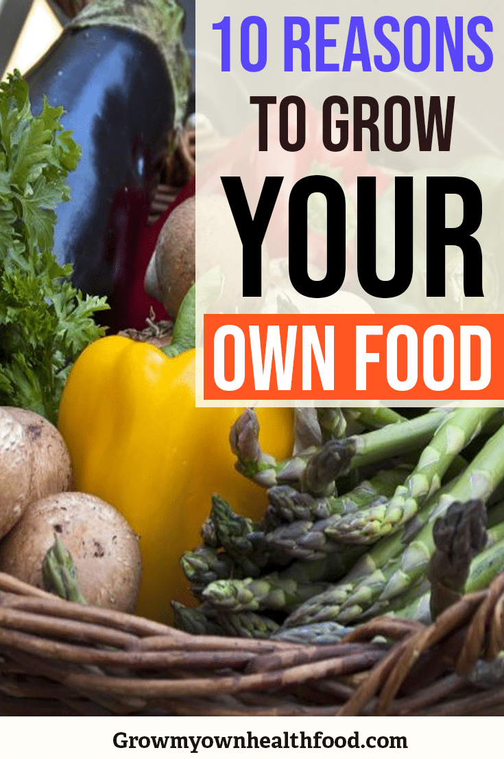 10 Reasons To Grow Your Own Food Grow My Own Health Food