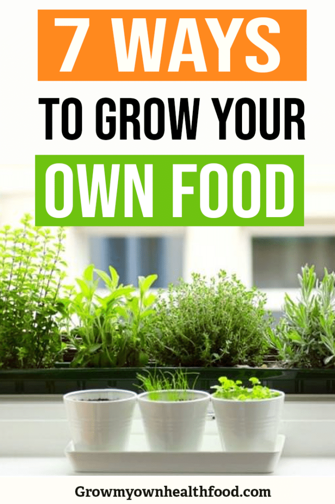 Grow your own food