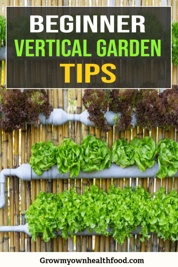 Vertical Gardens Guide