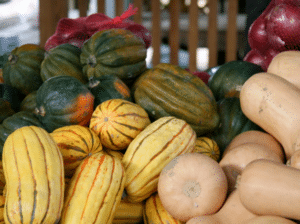 Winter Squash - Coronavirus Food Alternative