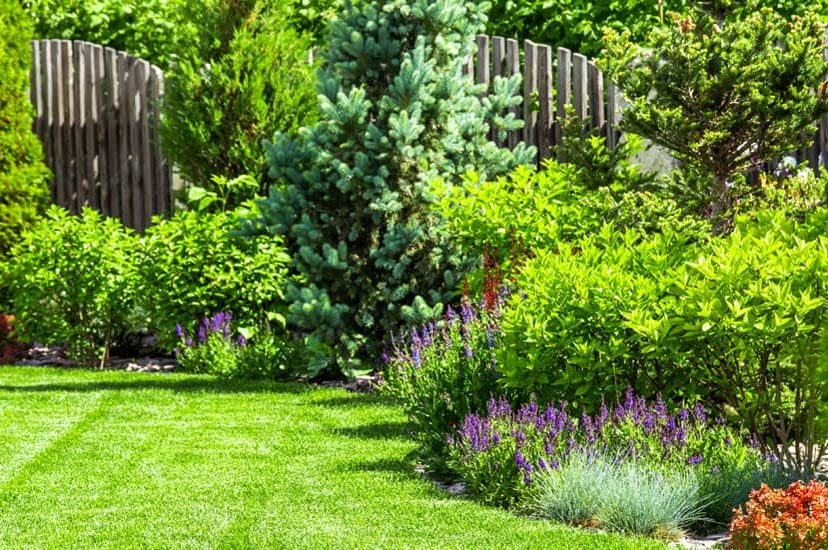Backyard Garden Design Basics 9 Steps To A Better Backyard