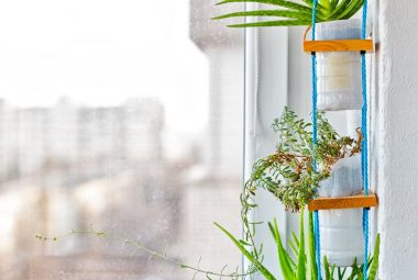 How To Build And Maintain An Indoor Vertical Garden For Medicinal Herbs