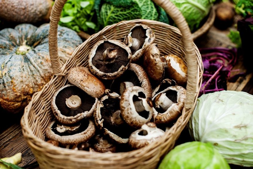 Create A Home Garden For Medicinal Mushrooms