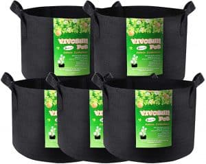 Growing Vegetables Indoors Planters