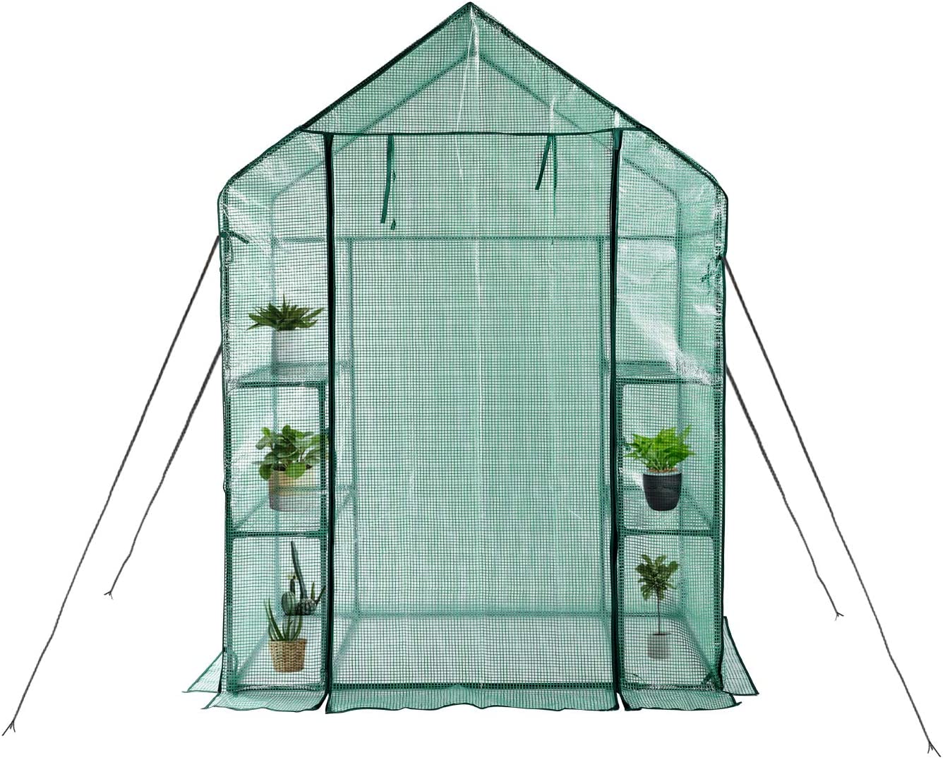 scool greenhouse with shelves