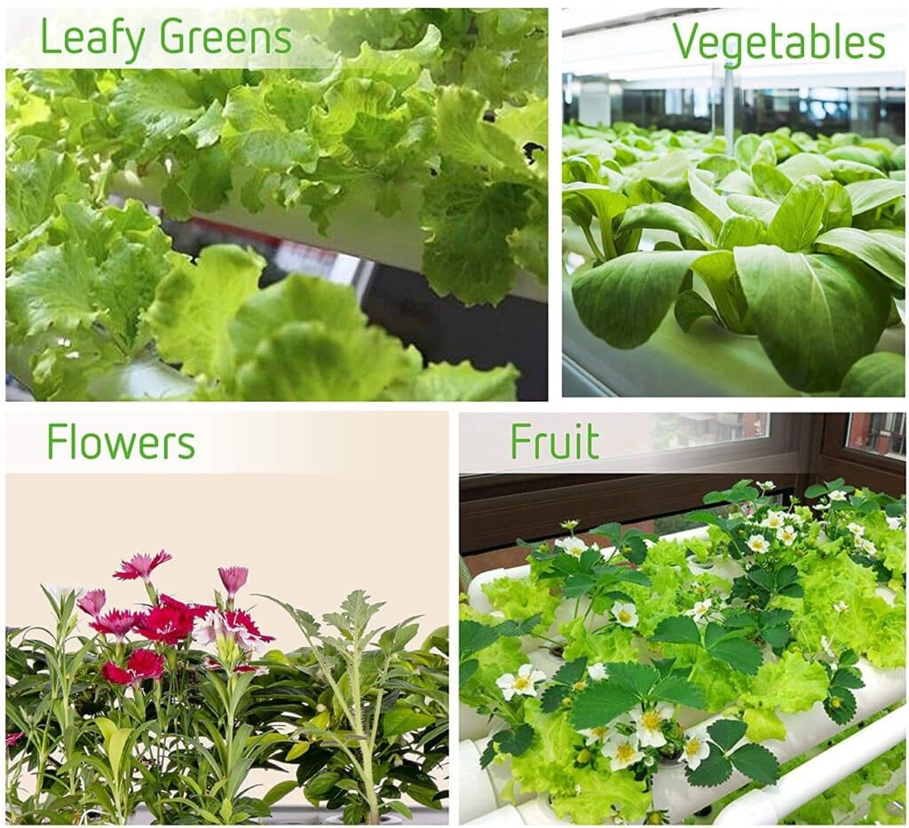 vivosun-hydroponic-grow-kit