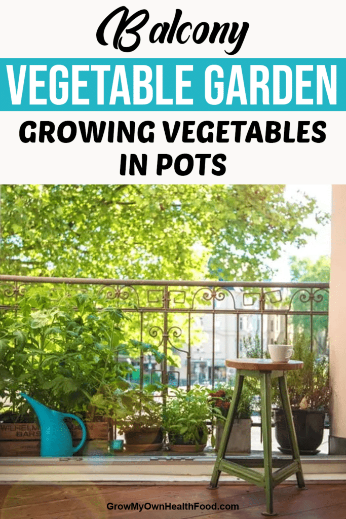 Balcony Vegetable Garden – Growing Vegetables in Pots
