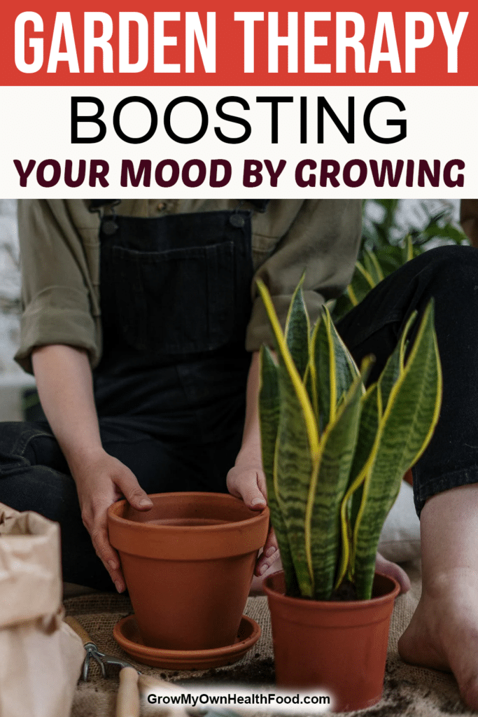 Garden Therapy – Boosting Your Mood by Growing
