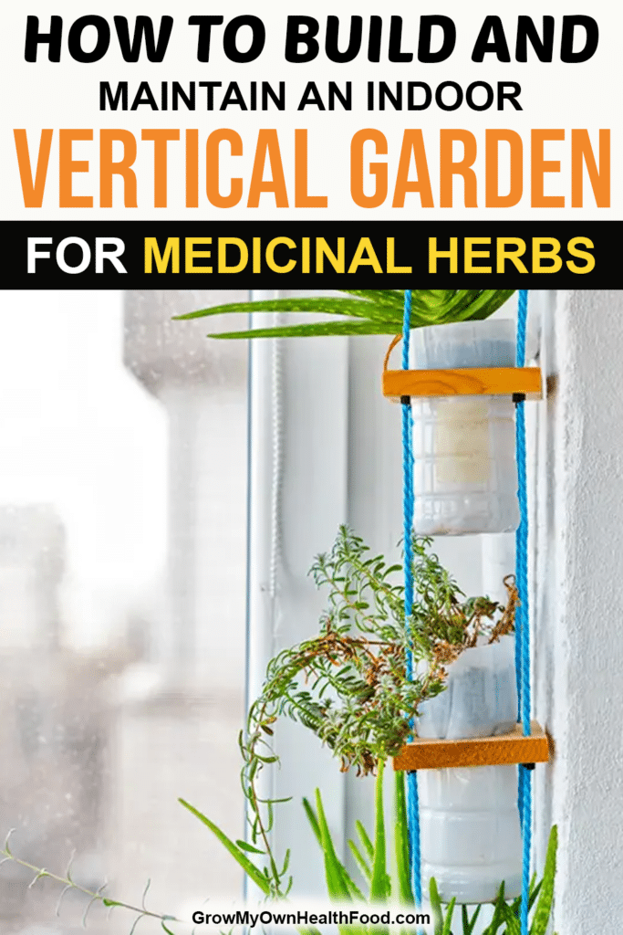 How to Build and Maintain an Indoor Vertical Garden for Medicinal Herbs
