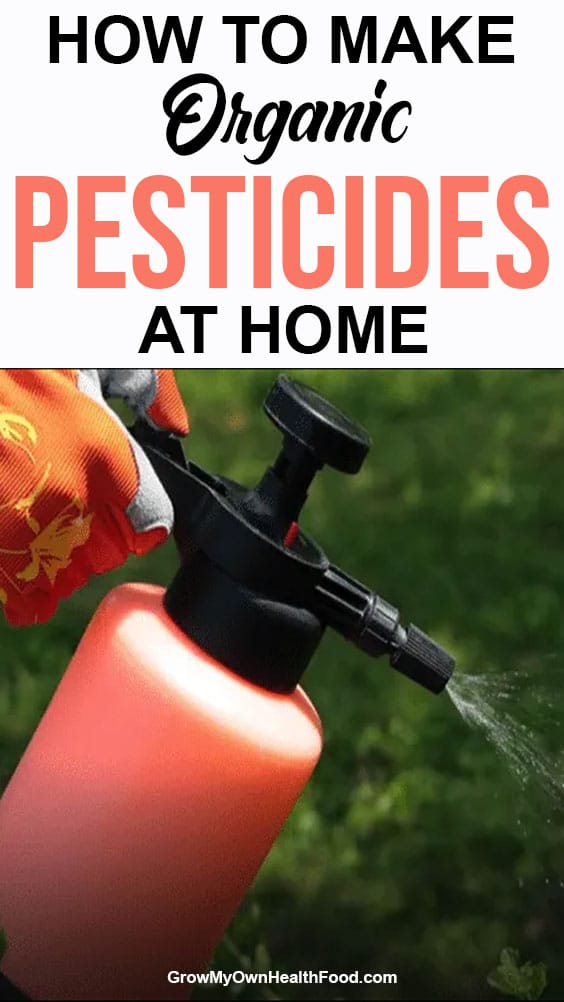 Make Organic Pesticides at Home