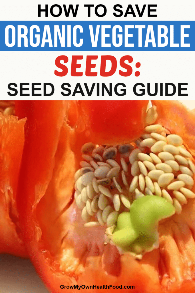 Seed Saving Guide
