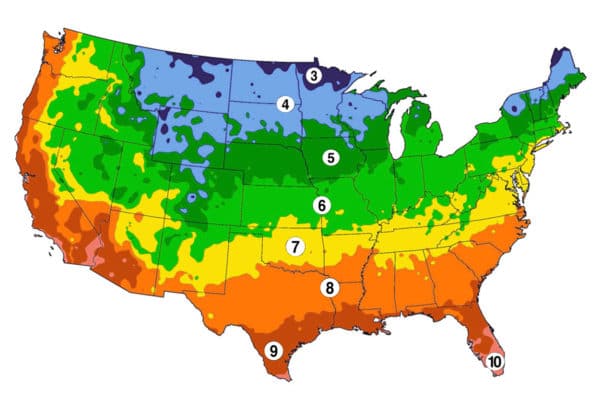 What Are Gardening Zones And Whats Your Planting Zone 8506