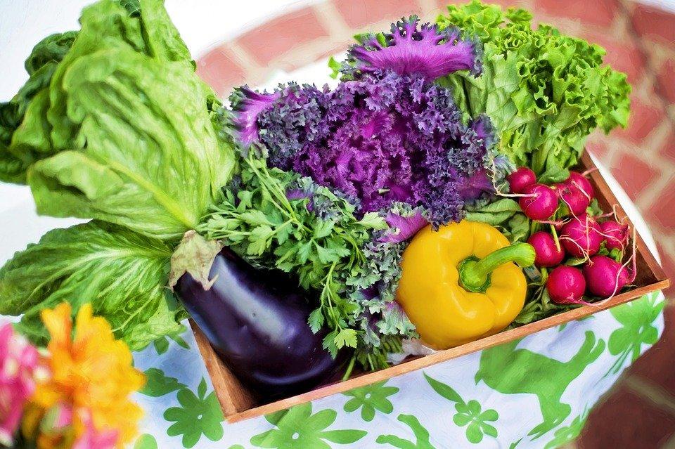 bucket of vegetables