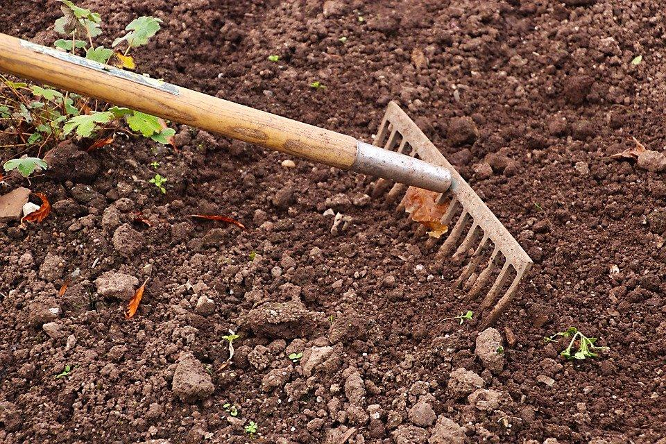 garden rake