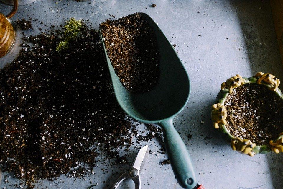 garden shovel