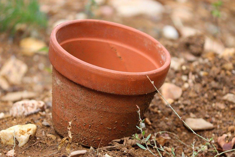 gardening pot