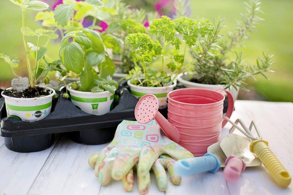 gardening tools