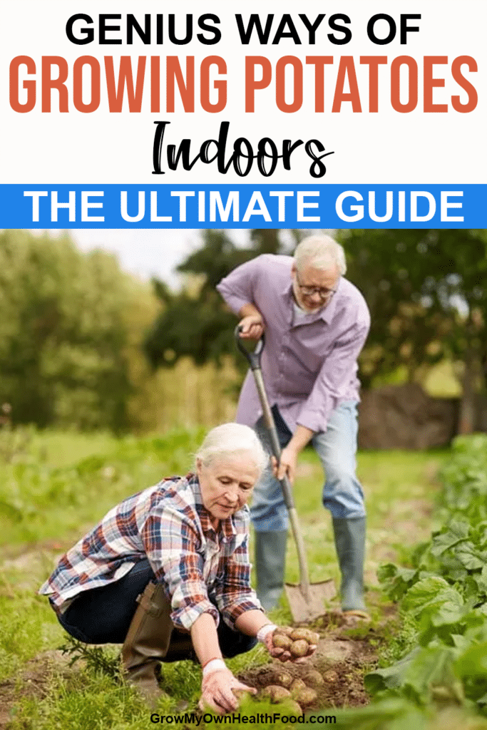 Genius Ways of Growing Potatoes Indoors The Ultimate Guide