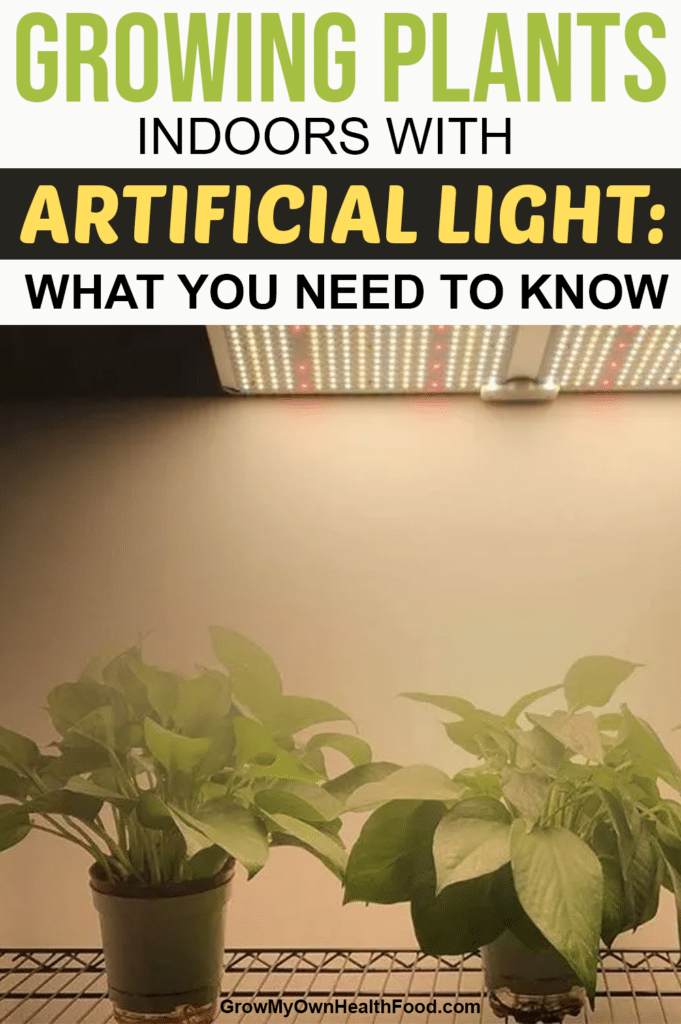 Growing with Artificial Light