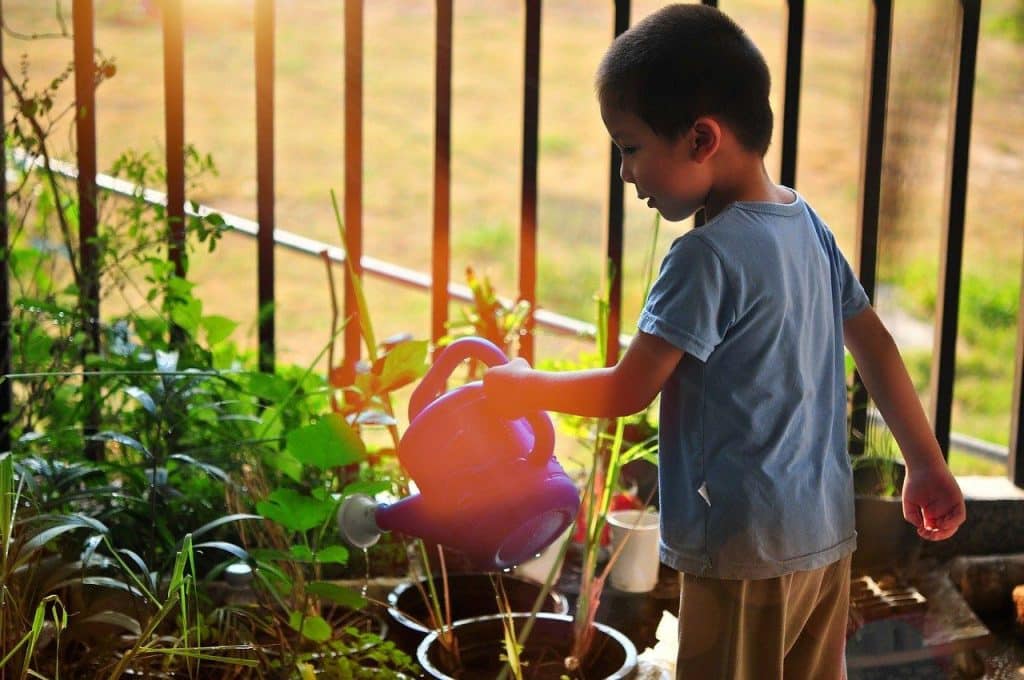 Gardening Safety Tips For Kids