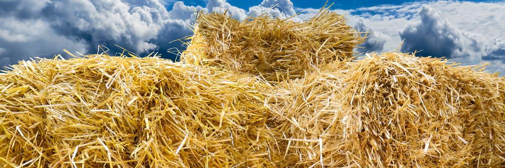 pile of straw bale