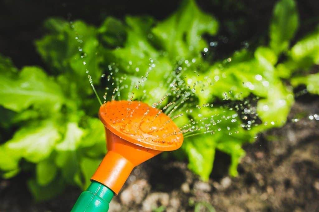 straw bale watering