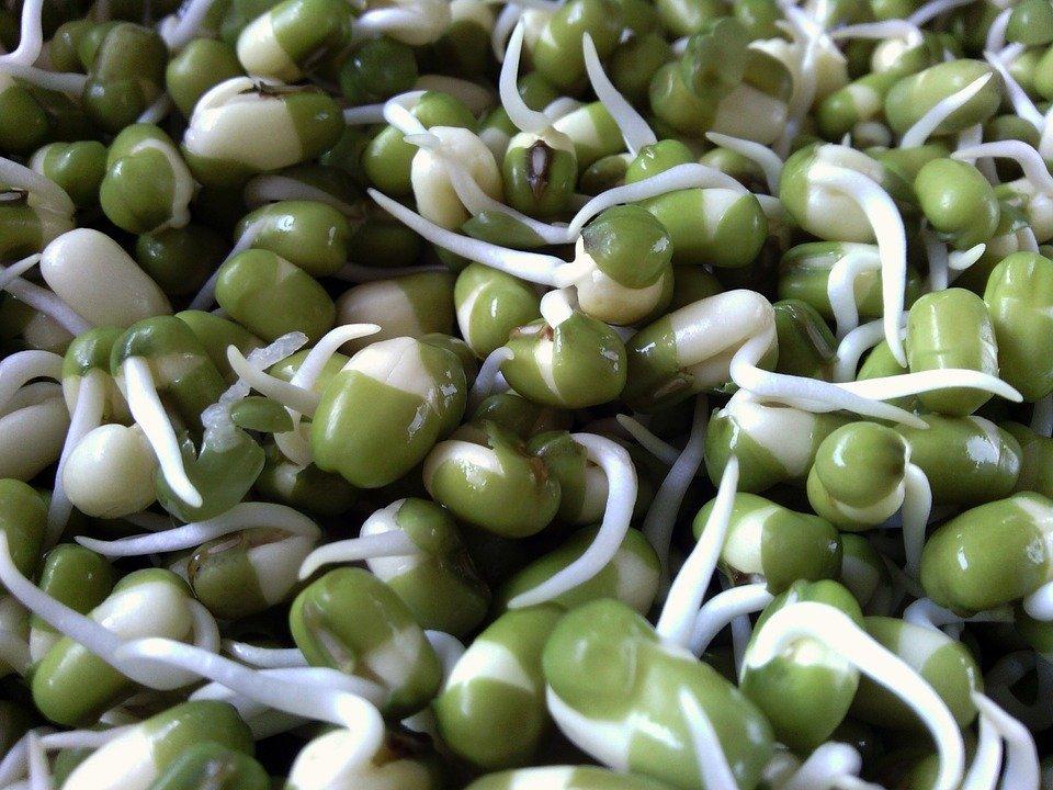 health benefits of bean sprouts