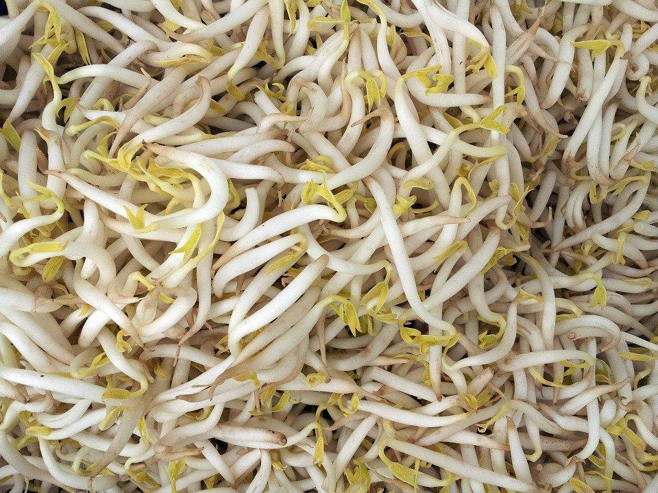 Mung Bean Sprouts