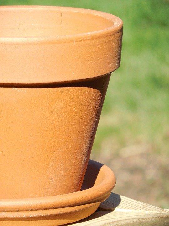 gardening container