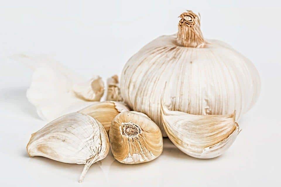 garlic cloves