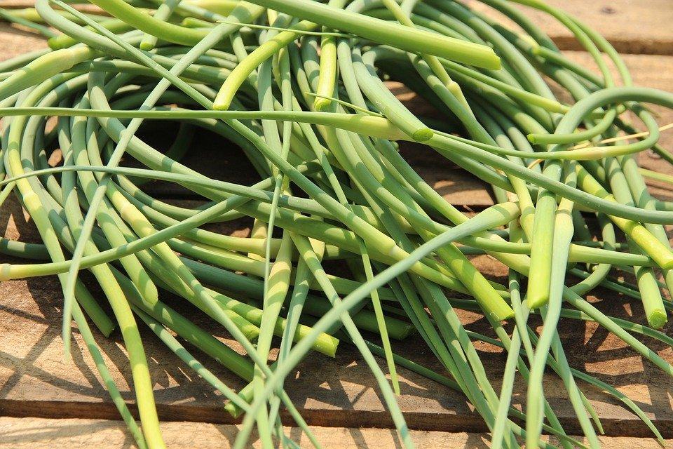  légumes verts à l'ail