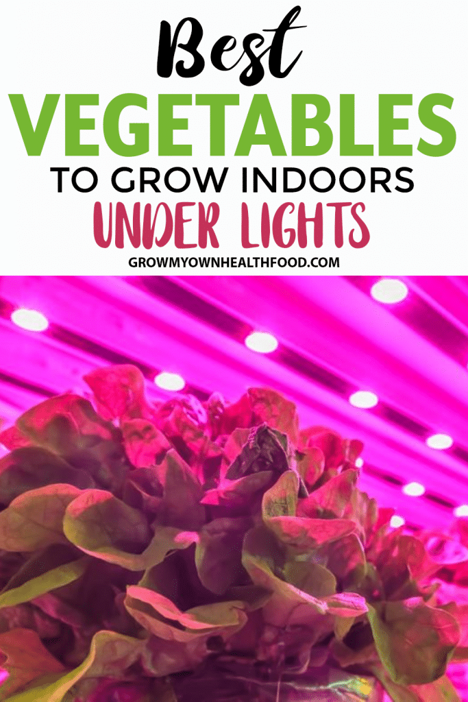 Best Vegetables To Grow Indoors Under Light