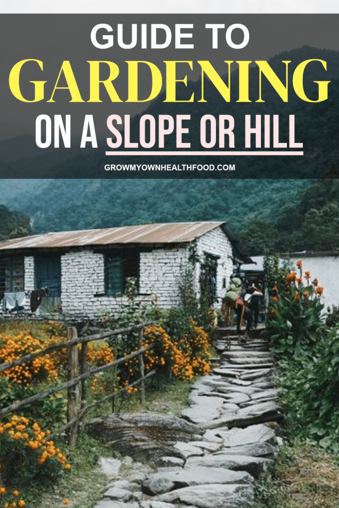 Guide to Gardening on A Slope or Hill