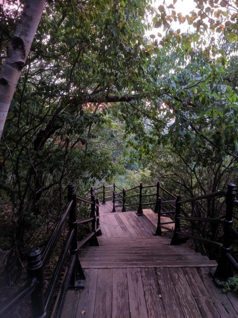 boardwalk on a hill