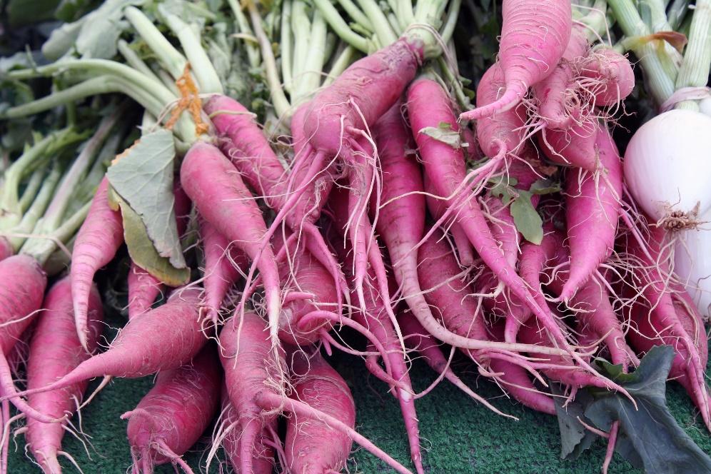 Daikon Radish Microgreens