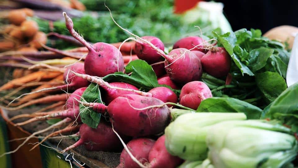 microgreen radish