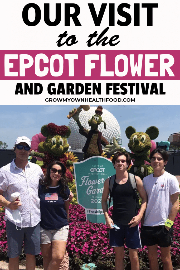 Our-Visit-to-the-Epcot-Flower-and-Garden-Festival