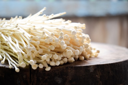 Grow Enoki Mushrooms