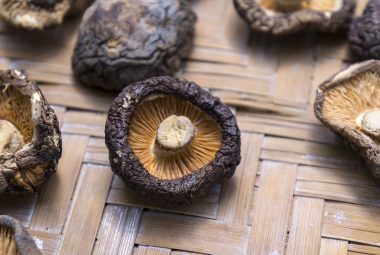 Grow Shiitake Mushrooms