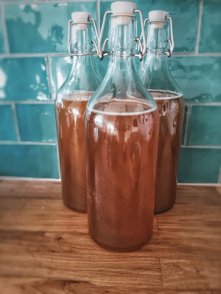 Kombucha Tea in a bottle