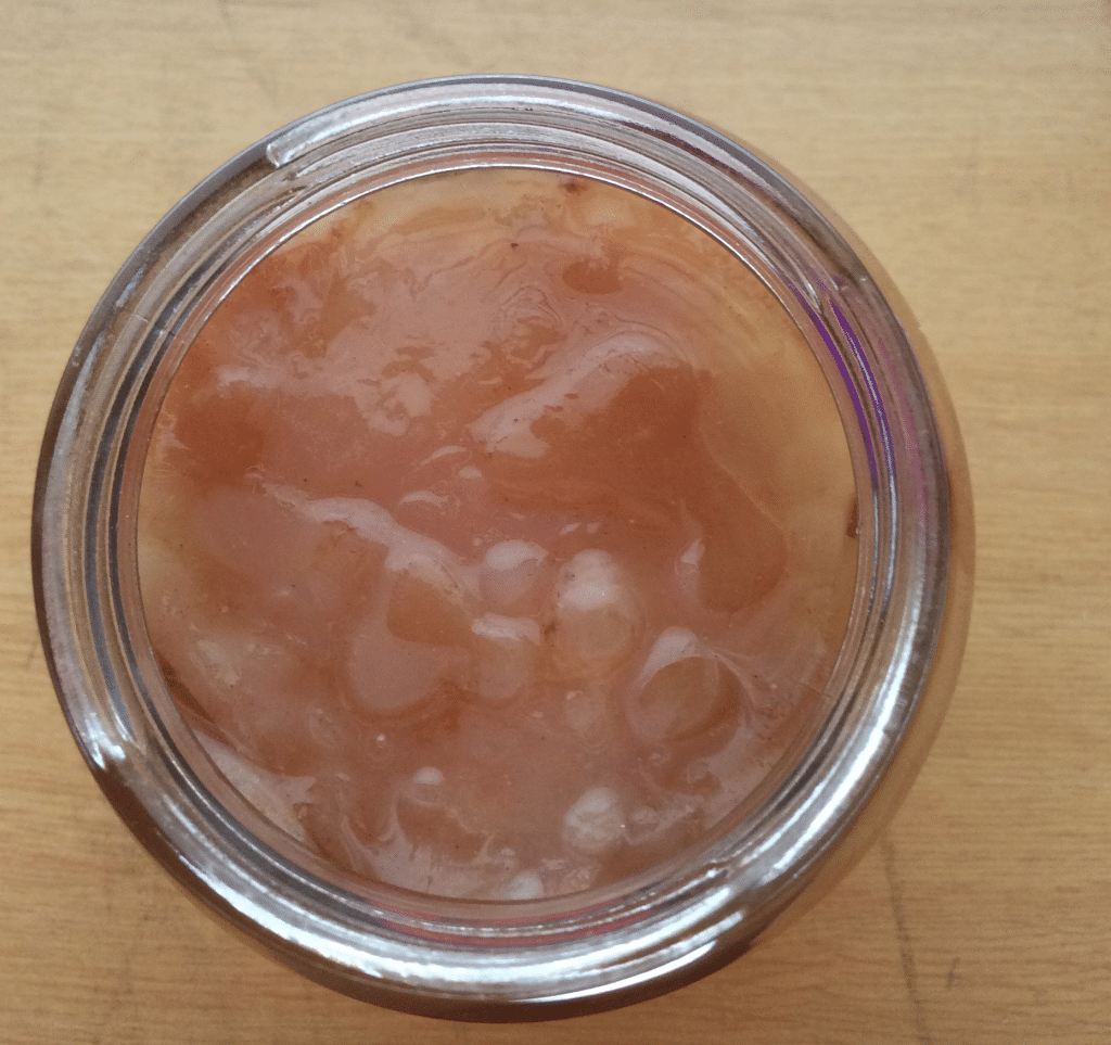 scoby