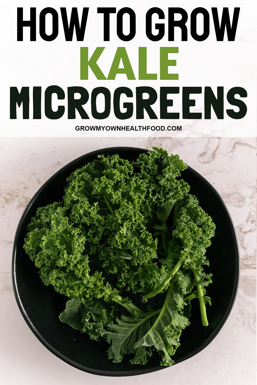 How To Grow Kale Microgreens Grow My Own Health Food