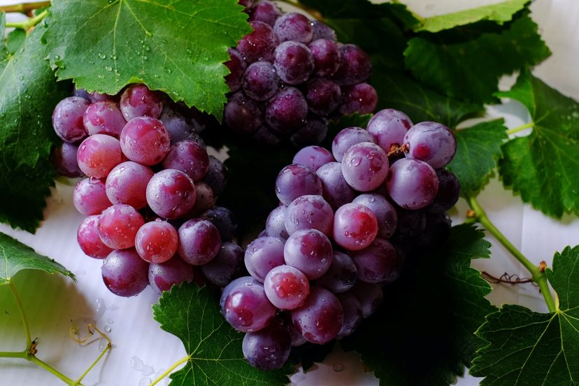 How To Plant Grapes In Your Backyard