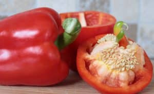 how to plant Bell Pepper Seeds