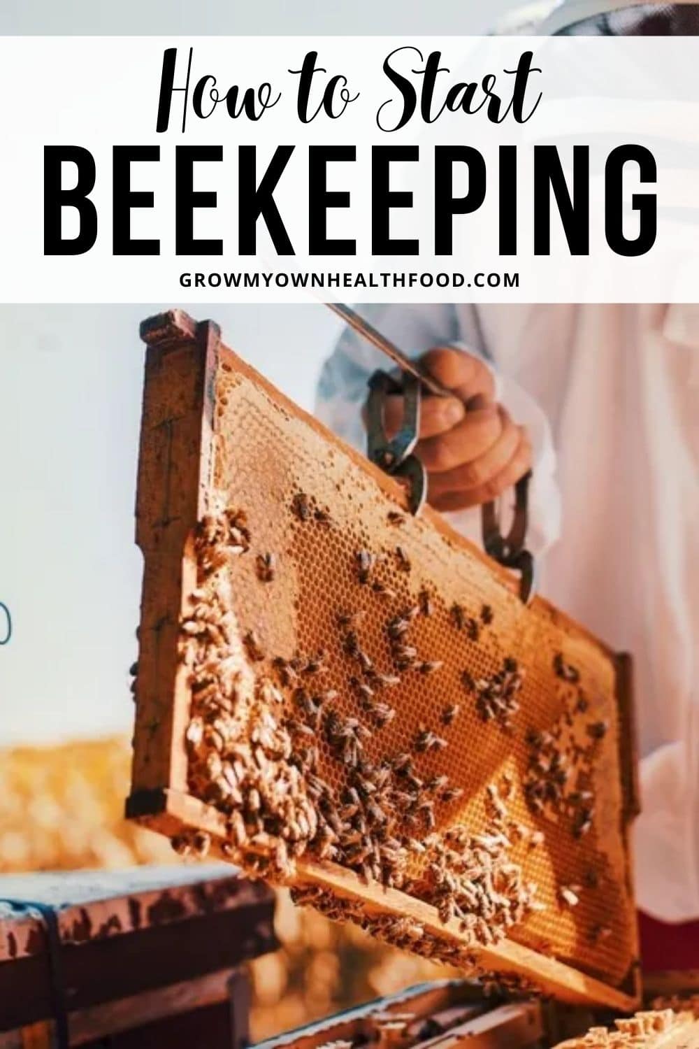 What You Need To Know To Start Beekeeping