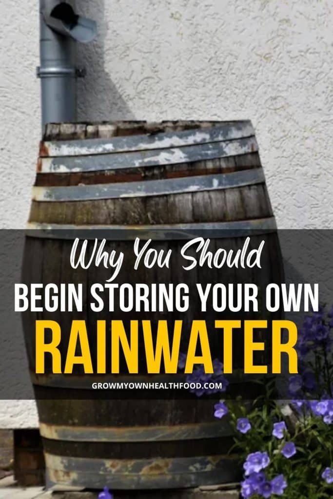Why You Should Begin Storing Your Own Rainwater
