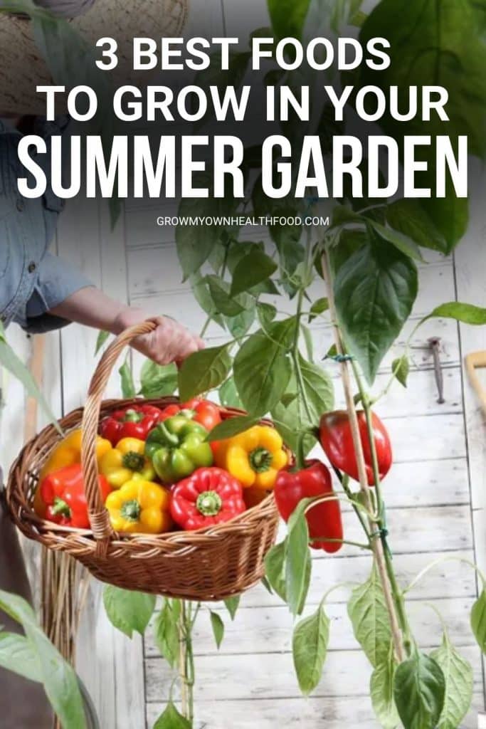 3 Best Foods To Grow in Your Summer Garden